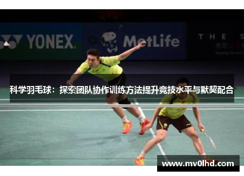 科学羽毛球：探索团队协作训练方法提升竞技水平与默契配合