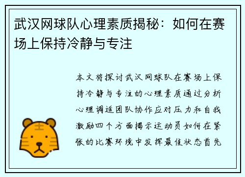武汉网球队心理素质揭秘:如何在赛场上保持冷静与专注